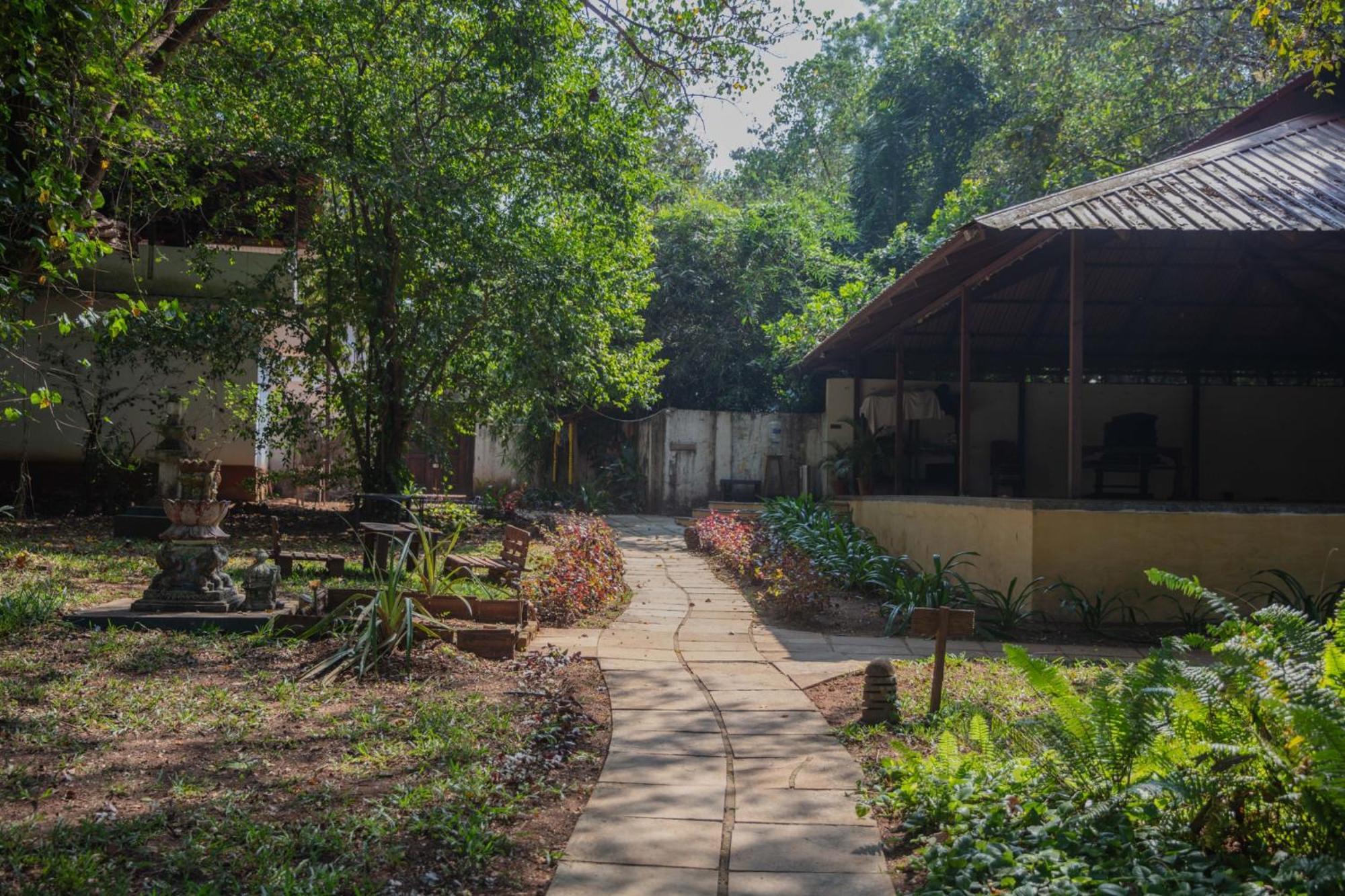 Satori Wellness Cottages I Yoga, Sauna, Ice Bath, Holistic Therapies & More Mandrem Exterior foto