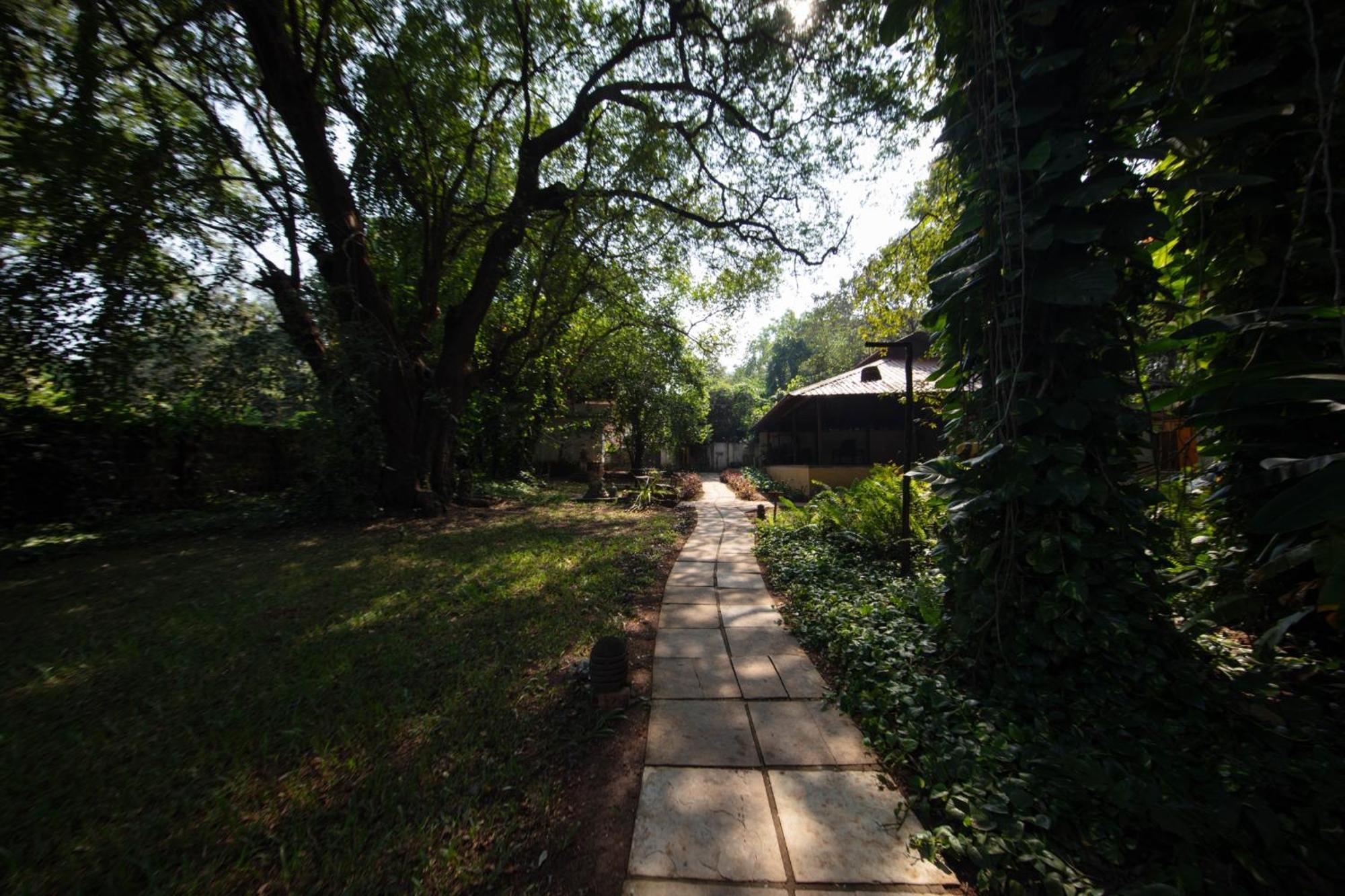 Satori Wellness Cottages I Yoga, Sauna, Ice Bath, Holistic Therapies & More Mandrem Exterior foto