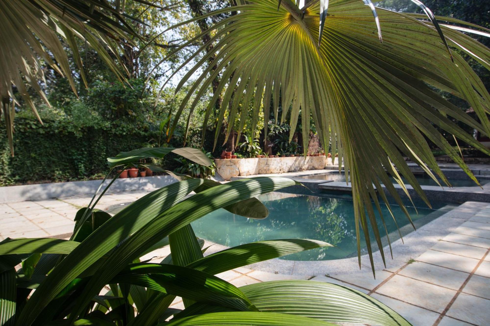 Satori Wellness Cottages I Yoga, Sauna, Ice Bath, Holistic Therapies & More Mandrem Exterior foto