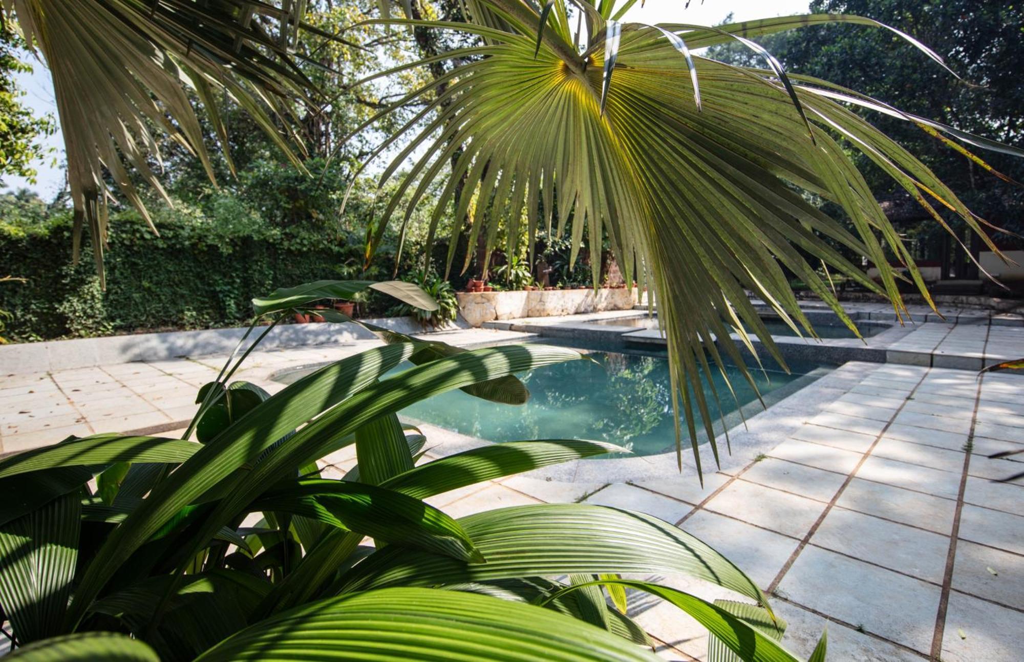 Satori Wellness Cottages I Yoga, Sauna, Ice Bath, Holistic Therapies & More Mandrem Exterior foto